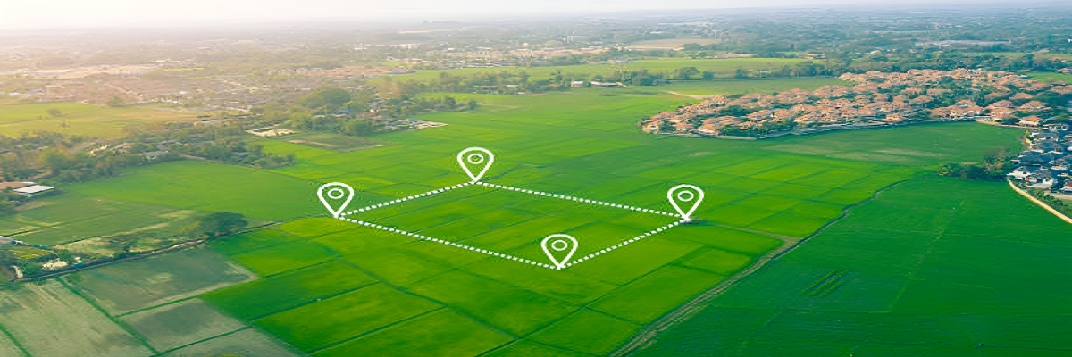 plot-Picsart-AiImageEnhancer